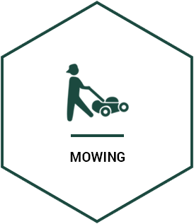 Lawn Mowing Penfield NY