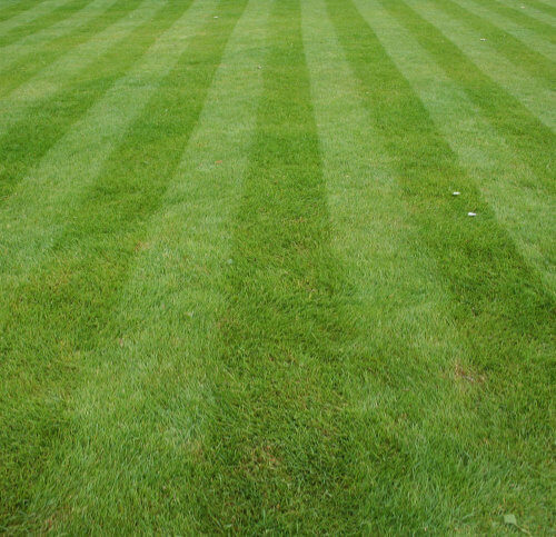 Lawn Rolling Fairport NY