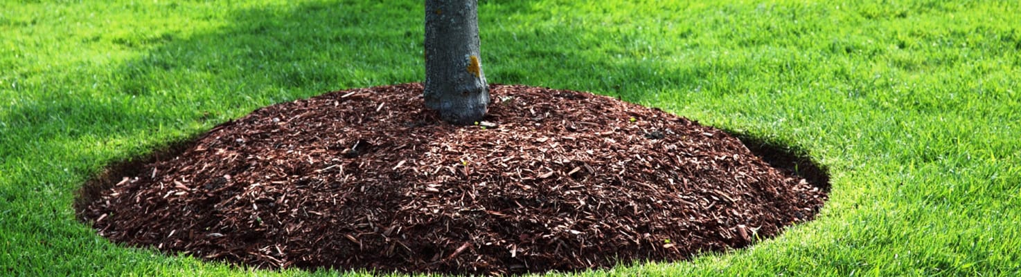 Mulch Installation Pittsford NY