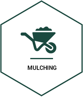 Mulching Services